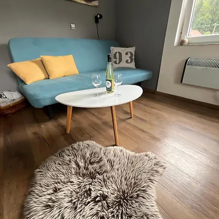 Owl *
