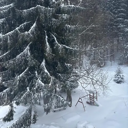 Διαμέρισμα Owl *