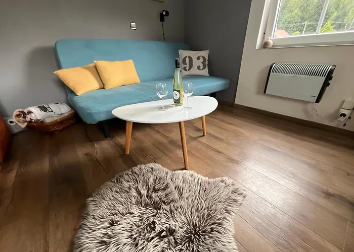 Owl *