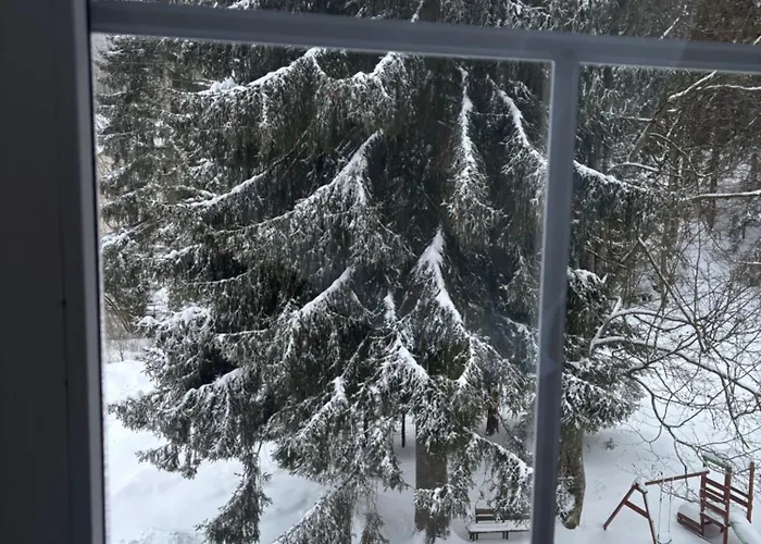 Apartmán Owl